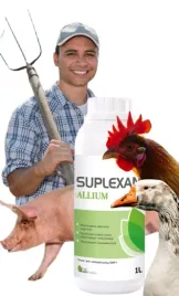 suplexan-allium-1l-czosnek-w-plynie-dla-drobiu-trzody-wspomaga-odpornosc