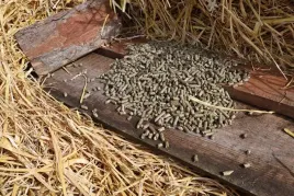 trawokulki-dla-koni-z-traw-z-krainy-jezior-15-kg