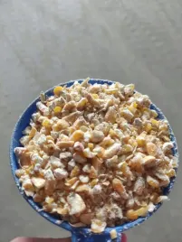 pasza-dla-drobiu-kukurydziana-gnieciona-cwiartki-grubomielona-karma-kury