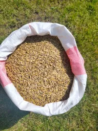 owies-20-kg-pasza-naturalna-dla-koni-krolikow-drobiu-golebi