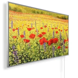 grzejnik-na-podczerwien-obraz-elektryczny-1000w-promiennik-ir-termostat