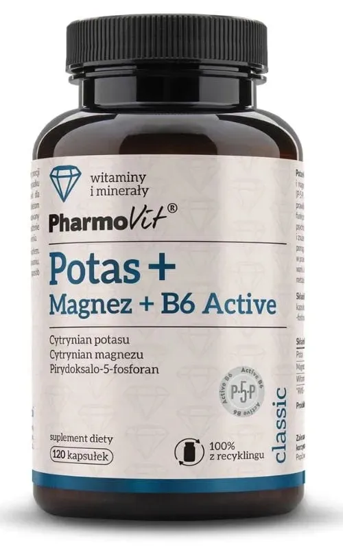 potas-magnez-b6-active-120-kapsulek-pharmovit