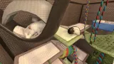 house-flipper-pets-edition-nowa-switch-pl-kartridz-tryb-gry-singleplayer