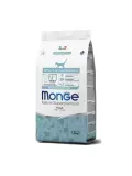 monge-cat-kitten-pstrag-15kg
