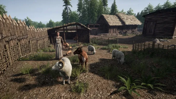 medieval-dynasty-pl-nowa-ps5-rodzaj-wydania-podstawa