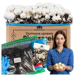 pieczarki-zestaw-do-uprawy-5kg-grzybnia-domowa-uprawa-pieczarek-gratis