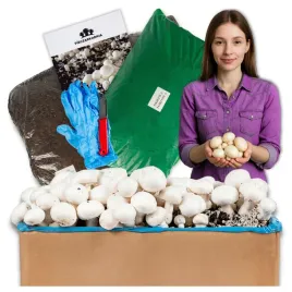 pieczarki-do-uprawy-grzybnia-pieczarki-30kg-duzy-zestaw-instrukcja-gratis