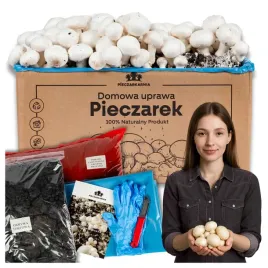 grzybnia-pieczarki-zestaw-do-uprawy-8kg-domowa-uprawa-instrukcja-gratis