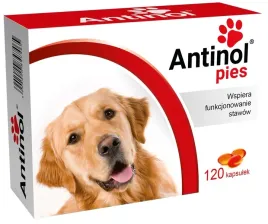 antinol-sizarol-120-tab-przysmak