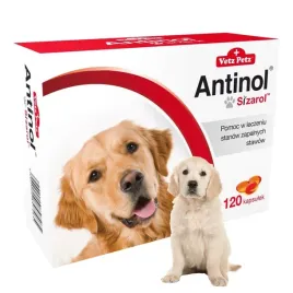 antinol-sizarol-suplement-na-zdrowe-stawy-dla-psa-opakowanie-120-tabletek