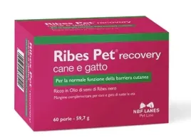 ribes-pet-recovery-cane-e-gatto-60-kaps-nbf-lanes