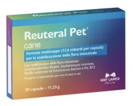 reuteral-pet-cane-nbf-lanes