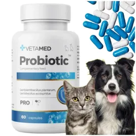 probiotyk-dla-psa-i-kota-prebiotyk-vetamed-probiotic-60-kapsulek