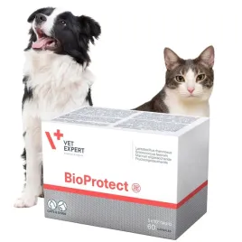 probiotyk-dla-psow-i-kotow-na-biegunke-vet-expert-bioprotect-60-kapsulek