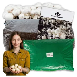 grzybnia-pieczarki-3-faza-20kg-zestaw-do-uprawy-podloze-balot-torf-9kg