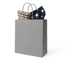 torba-papierowa-230x120x300-mm-szara-minimalistyczna-na-prezent