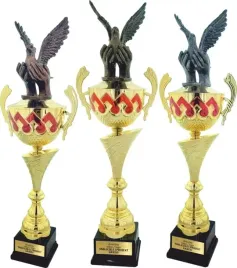 komplet-pucharow-zloto-srebro-braz-loty-golebi-pocztowych-pzhgp-grawerki
