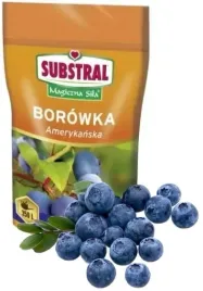 nawoz-magiczna-sila-do-borowek-350-g-substral