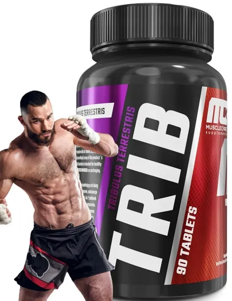 BUZDYGANEK libido siła moc serce Muscle Care Trib 100 90 tabl