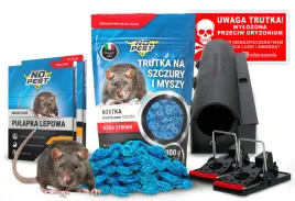 trutka-lep-pulapka-stacja-na-myszy-i-szczury