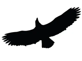 naklejka-ptaka-odstraszacz-ptakow-l40-bardzo-duza