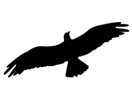 ciemna-naklejka-makieta-ptaka-do-odstraszania-ptakow-l30-bardzo-duza-53cm