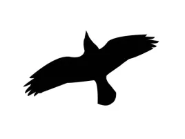 naklejka-ptaka-odstraszacz-ptakow-l10