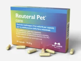 reuteral-pet-cane-nbf-lanes