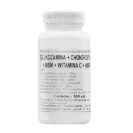 podkowa-glukozamina-chonfroityna-msm-witamina-c-imbir-100-tab