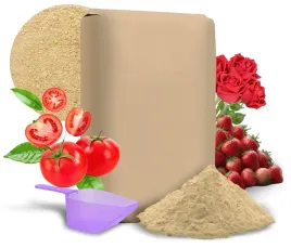 diatomit-ziemia-okrzemkowa-nawoz-do-poprawy-rozwoju-roslin-no-pest-10kg