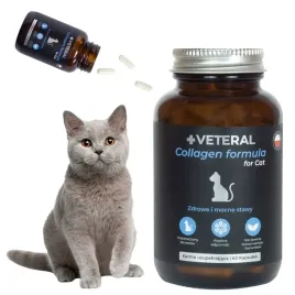 kolagen-dla-kota-tabletki-supplement-zdrowe-stawy-veteral-collagen-formula