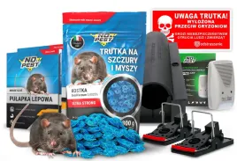 trutka-pulapka-odstraszacz-dzwiekowy-na-szczury