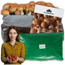 grzybnia-pieczarki-brazowej-20kg-zestaw-do-uprawy-podloze-balot-torf-9kg