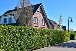 m-laurowisnia-wschodnia-van-nes-mrozoodporna