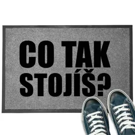wycieraczka-szara-wejsciowa-or-40x60-trwala-nadruk-czemu-tak-stoisz-mix-wz