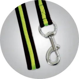 lonza-york-stripe