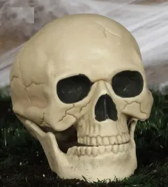 sztuczna-czaszka-czacha-ludzka-kremowa-straszna-dekoracja-halloween-20cm