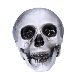 czaszka-ludzka-czacha-straszna-dekoracja-ozdoba-szara-halloween-20cm