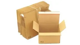 pakiet-karton-wykr-255x180x160mm-100szt