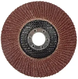 tarcza-lamelka-scierna-sciernica-listkowa-125-p100