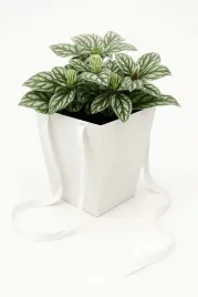 torba-prestige-biala-125x125x180-165x165mm-florystyczna-na-kwiaty