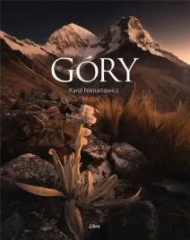 gory-okladka-andy-karol-nienartowicz