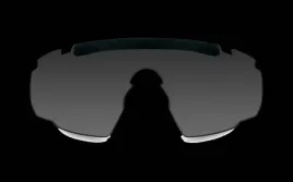 wiley-x-saber-adv-smoke-grey-extra-lens-306s