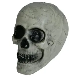 czaszka-czacha-ludzka-sztuczna-szara-dekoracja-na-halloween-20cm