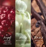 mexx-mgielka-do-ciala-250ml-inspired-warmth-stan-nowy