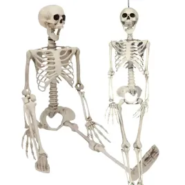 szkielet-czlowieka-sztuczny-kosciotrup-wiszacy-xxl-na-halloween-90cm