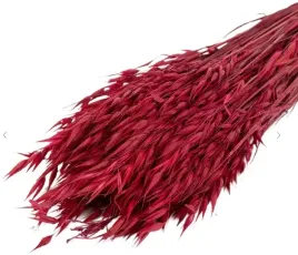 owies-czerwony-peczek-klosy-40cm-krajowy-zboze-suszone-40-klosow-wielkanoc