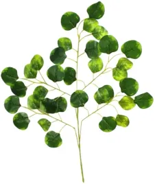 galazka-5-ramienna-lisci-eukaliptusa-sztuczny-zielona-62-cm-eukaliptus-lisc