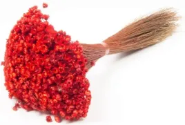 glixia-gliksja-suszona-czerwona-kwiaty-suszone-naturalny-susz-50-g-kwiatki