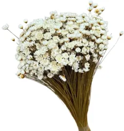 glixia-naturalna-gliksja-bukiet-suszki-kwiatuszki-duzy-peczek-400-sztuk